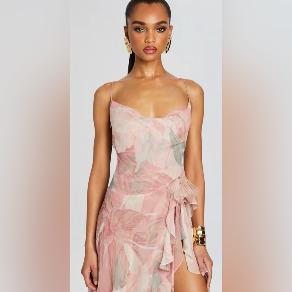 RETROFETE Samara Silk Chiffon Dress Dusty Pink Botanical ⭐️LUXURY PREMIUM⭐️ NWT - Picture 5 of 13